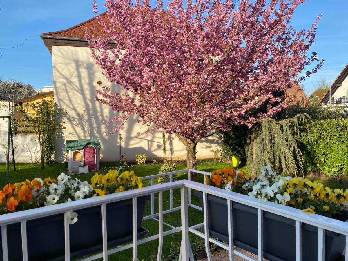 Appartement Le Jardin Lingolsheim Exterior foto