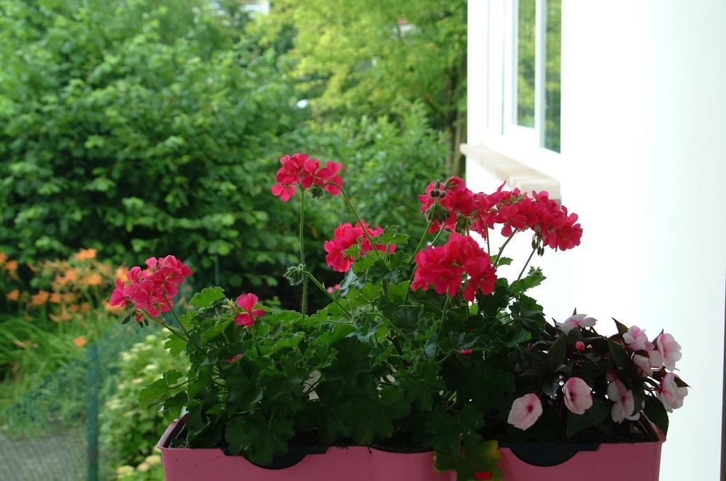 Appartement Le Jardin Lingolsheim Quarto foto